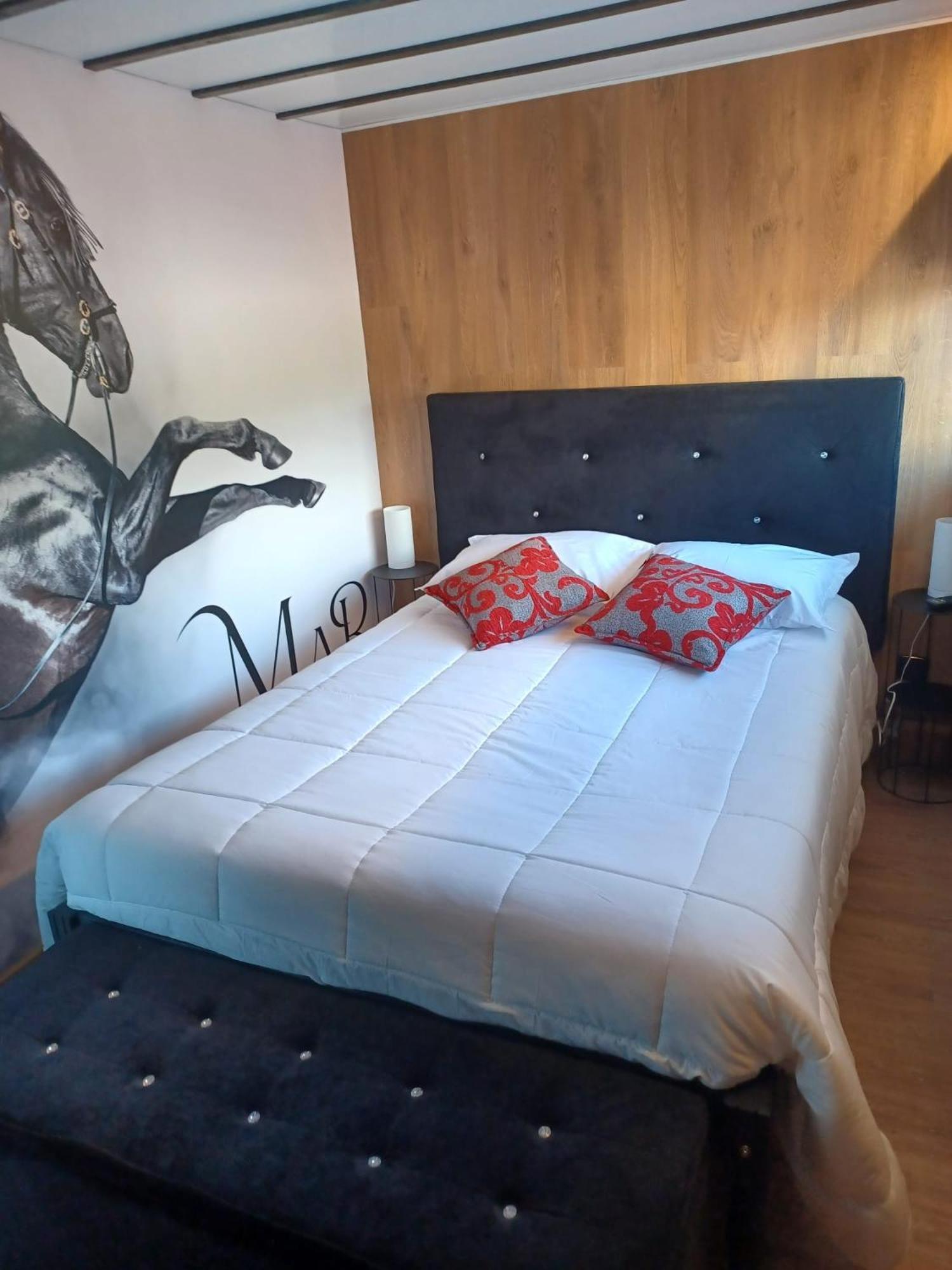 Leonchic - Guest House Barcelos Extérieur photo